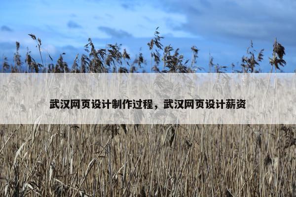 武汉网页设计制作过程，武汉网页设计薪资