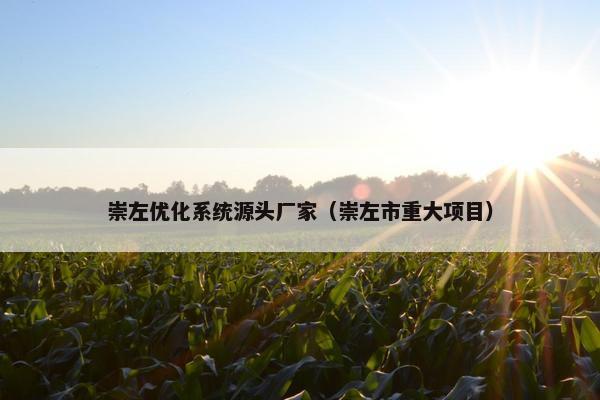 崇左优化系统源头厂家（崇左市重大项目）