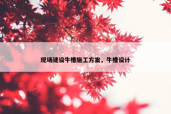 现场建设牛槽施工方案，牛槽设计
