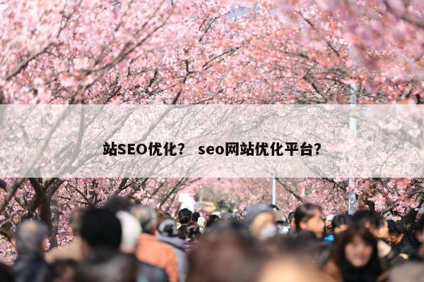 站SEO优化？ seo网站优化平台？