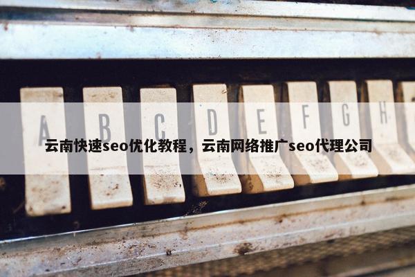 云南快速seo优化教程，云南网络推广seo代理公司