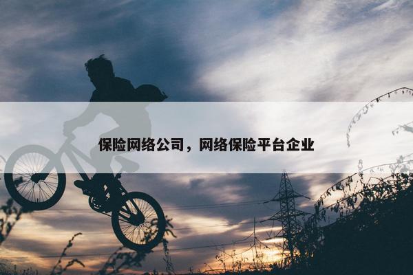 保险网络公司，网络保险平台企业
