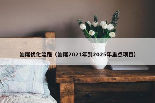 汕尾优化流程（汕尾2021年到2025年重点项目）