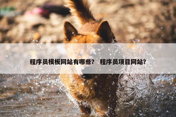 程序员模板网站有哪些？ 程序员项目网站？