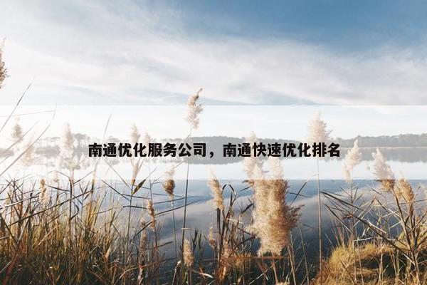 南通优化服务公司，南通快速优化排名