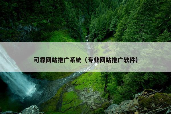 可靠网站推广系统（专业网站推广软件）