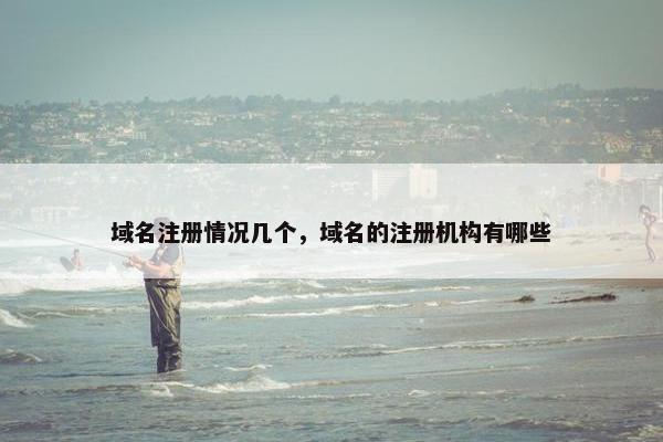 域名注册情况几个，域名的注册机构有哪些