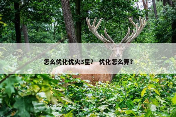 怎么优化优火3星？ 优化怎么弄？