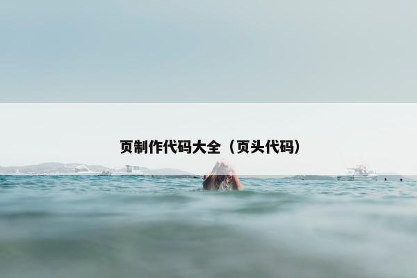 页制作代码大全（页头代码）