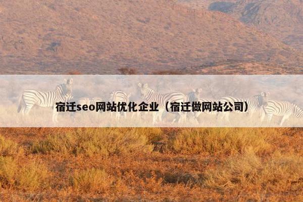 宿迁seo网站优化企业（宿迁做网站公司）