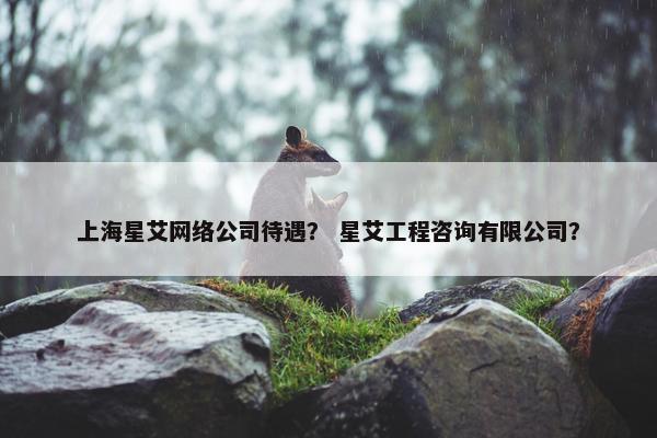 上海星艾网络公司待遇？ 星艾工程咨询有限公司？