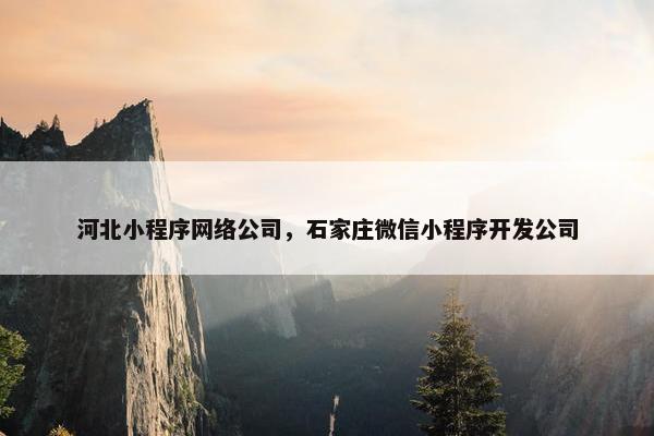 河北小程序网络公司，石家庄微信小程序开发公司