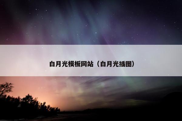 白月光模板网站（白月光插图）