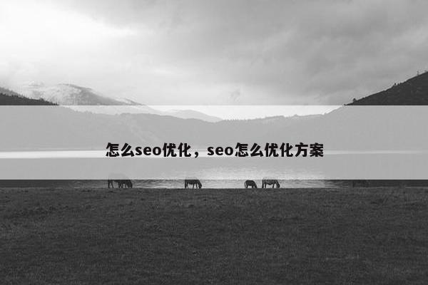 怎么seo优化，seo怎么优化方案