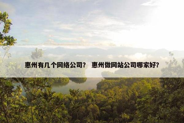 惠州有几个网络公司？ 惠州做网站公司哪家好？