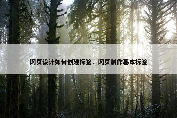网页设计如何创建标签，网页制作基本标签