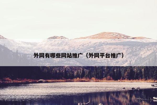 外网有哪些网站推广（外网平台推广）