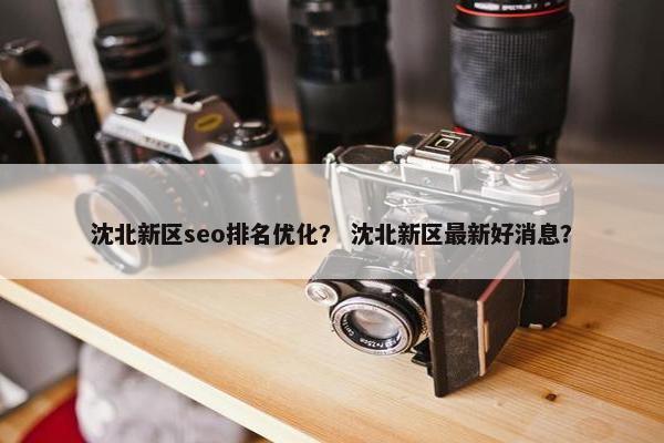 沈北新区seo排名优化？ 沈北新区最新好消息？