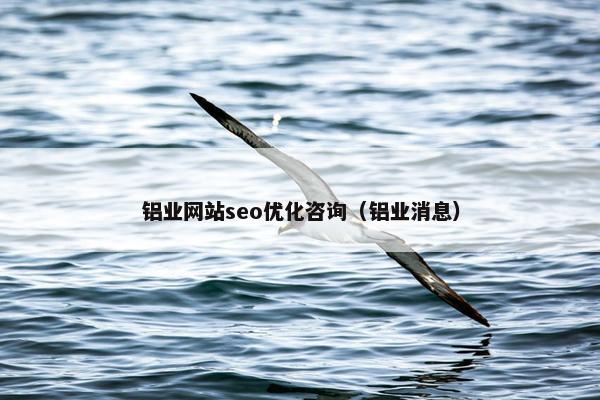 铝业网站seo优化咨询（铝业消息）