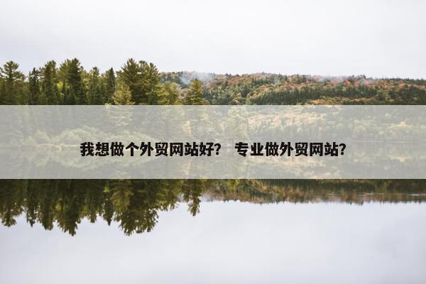 我想做个外贸网站好？ 专业做外贸网站？