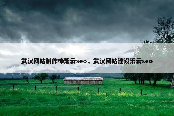 武汉网站制作棒乐云seo，武汉网站建设乐云seo
