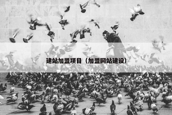 建站加盟项目（加盟网站建设）