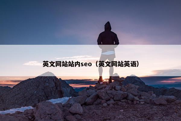 英文网站站内seo（英文网站英语）
