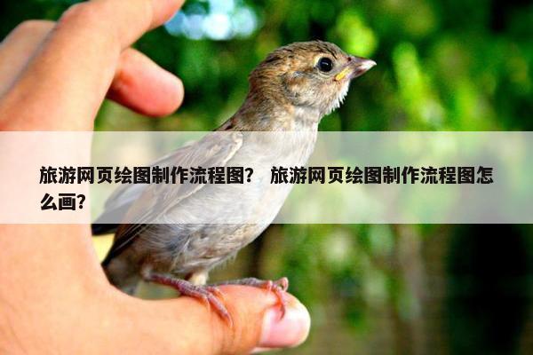 旅游网页绘图制作流程图？ 旅游网页绘图制作流程图怎么画？