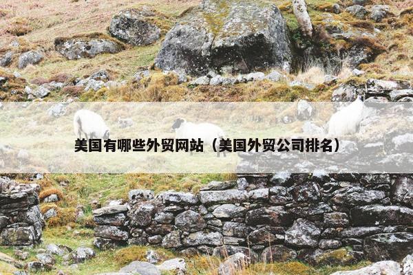 美国有哪些外贸网站（美国外贸公司排名）