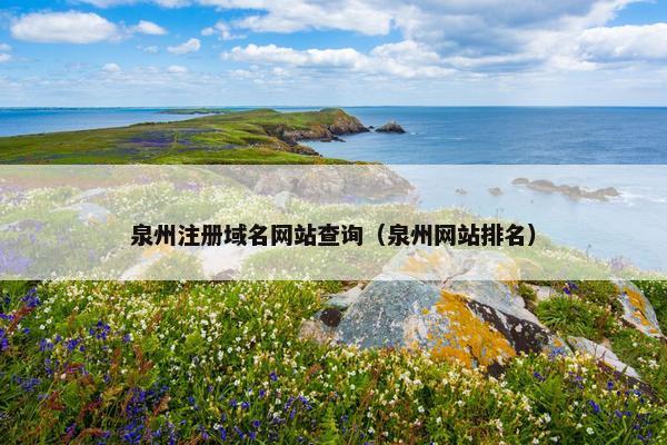 泉州注册域名网站查询（泉州网站排名）