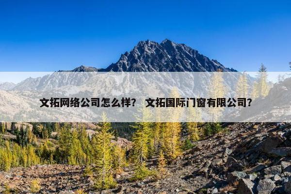 文拓网络公司怎么样？ 文拓国际门窗有限公司？