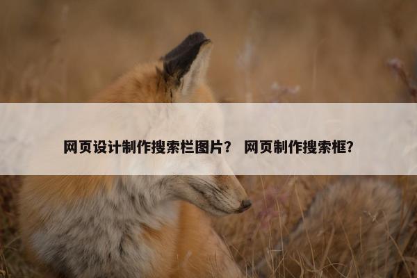 网页设计制作搜索栏图片？ 网页制作搜索框？