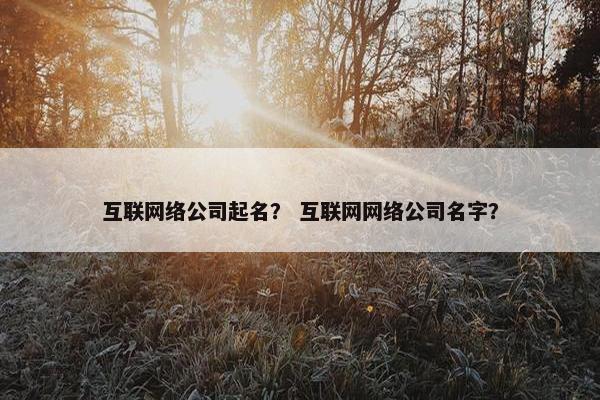 互联网络公司起名？ 互联网网络公司名字？