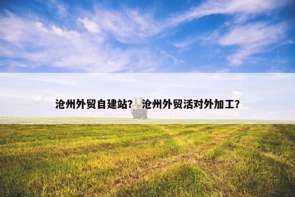 沧州外贸自建站？ 沧州外贸活对外加工？