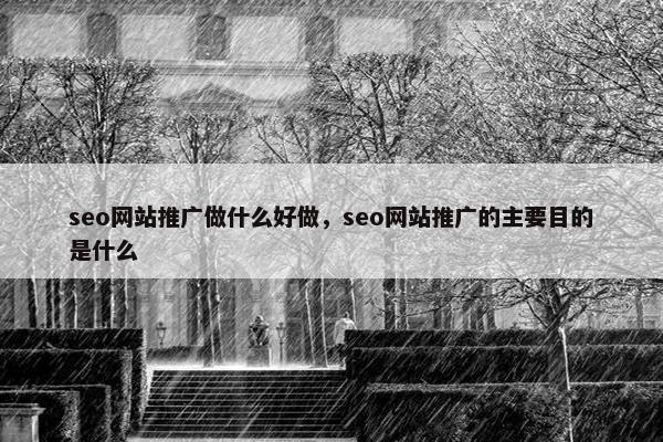 seo网站推广做什么好做，seo网站推广的主要目的是什么