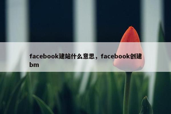 facebook建站什么意思，facebook创建bm