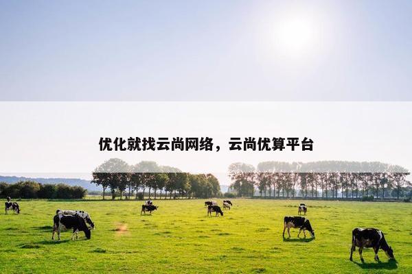 优化就找云尚网络，云尚优算平台