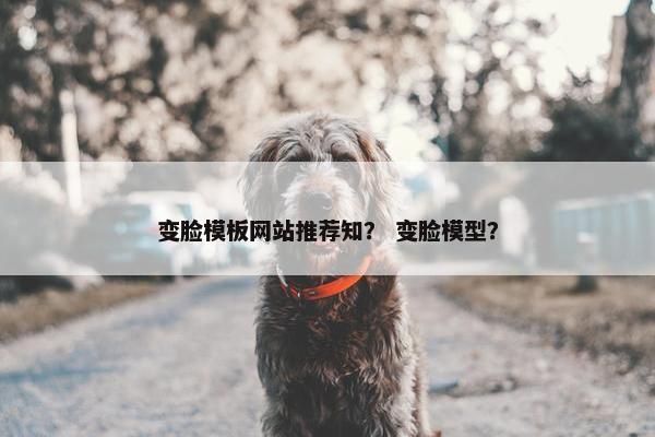 变脸模板网站推荐知？ 变脸模型？