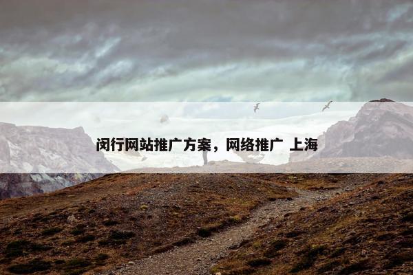 闵行网站推广方案，网络推广 上海