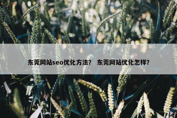 东莞网站seo优化方法？ 东莞网站优化怎样？