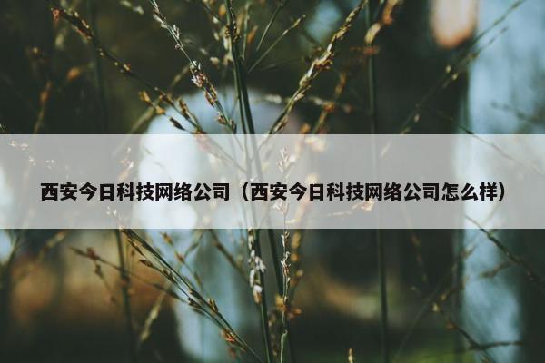 西安今日科技网络公司（西安今日科技网络公司怎么样）