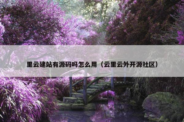 里云建站有源码吗怎么用（云里云外开源社区）