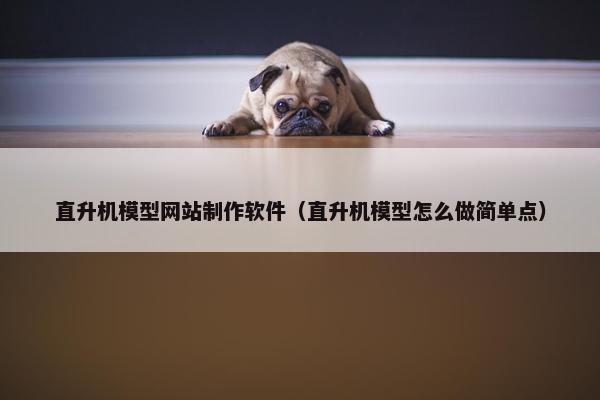 直升机模型网站制作软件（直升机模型怎么做简单点）