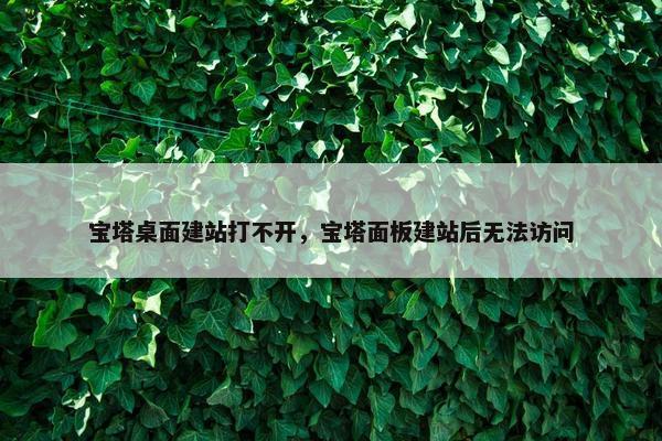 宝塔桌面建站打不开，宝塔面板建站后无法访问