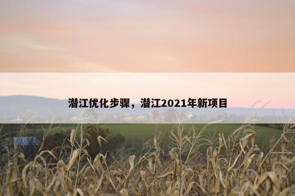 潜江优化步骤，潜江2021年新项目