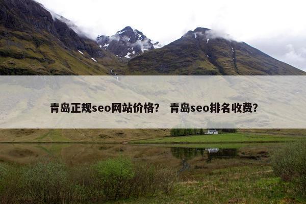 青岛正规seo网站价格？ 青岛seo排名收费？