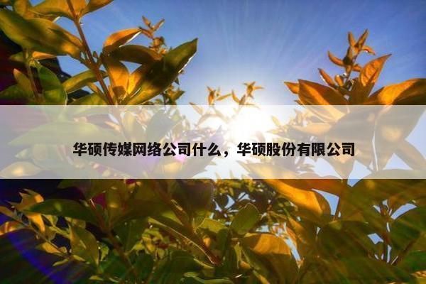 华硕传媒网络公司什么，华硕股份有限公司
