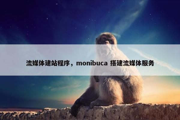 流媒体建站程序，monibuca 搭建流媒体服务