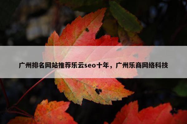 广州排名网站推荐乐云seo十年，广州乐商网络科技