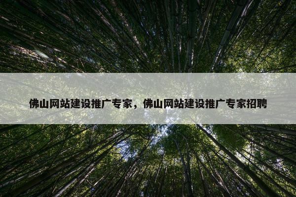 佛山网站建设推广专家，佛山网站建设推广专家招聘